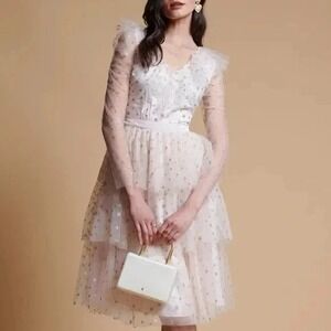 Rachel Parcell Tulle Tiered Mini Dress Pink Gold Glitter Star Ruffle Sheer XXL